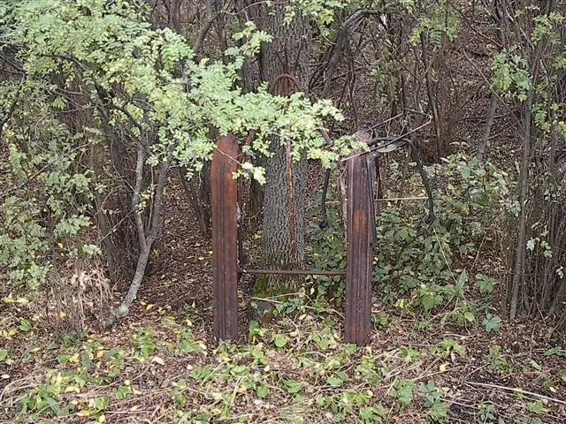 Rusted old sled runners in the trees
